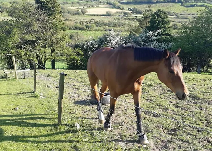 Casa de Férias Tir Na Nog - A Piece Of Heaven